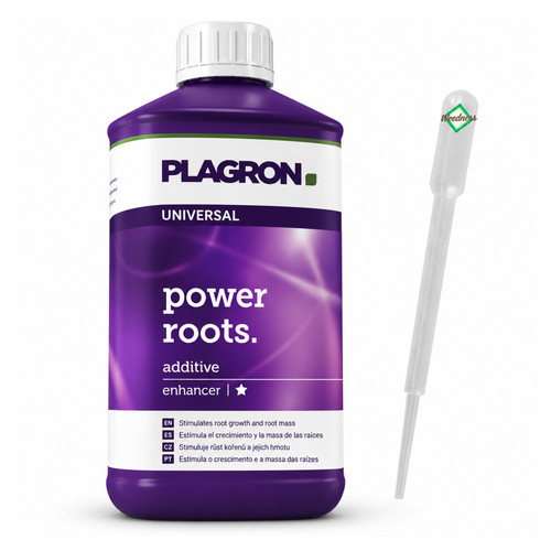 Plagron power roots - power,